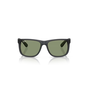 Ray-Ban Justin Classic Sunglasses
