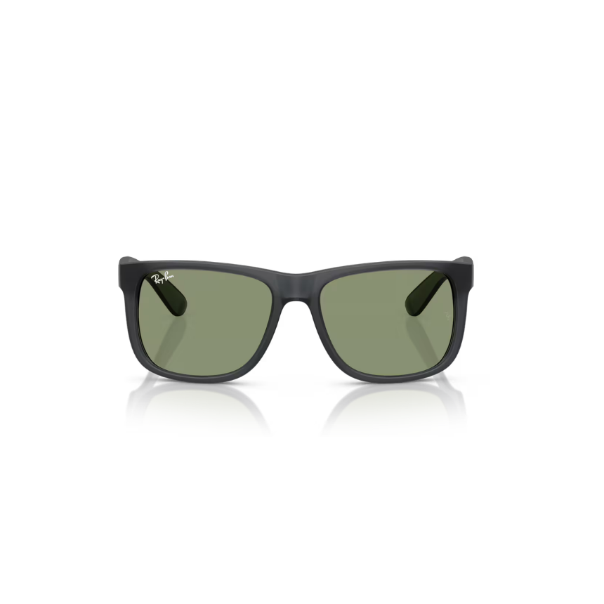Ray-Ban Justin Classic Sunglasses